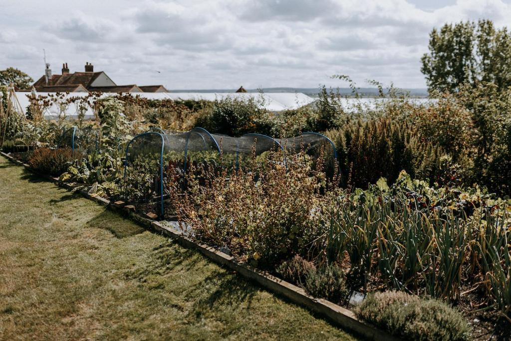 The Ferry House Eastchurch Exterior foto